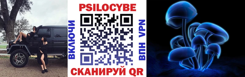 Псилоцибиновые грибы мицелий  наркотики  Лиски 